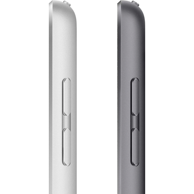 Apple iPad 10,2" (9 Gen, 2021) Wi-Fi, 256Gb (silver) (MK2P3RK/A)
